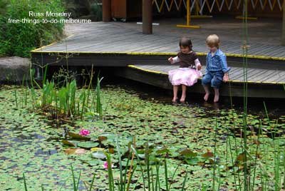 kids activities childrens garden pond