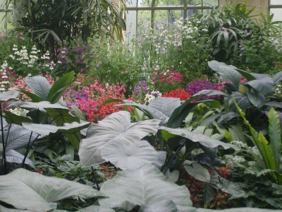 Fitzroy Gardens Conservatory