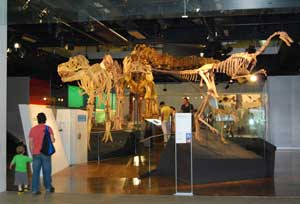 Melbourne Museum dinosaurs