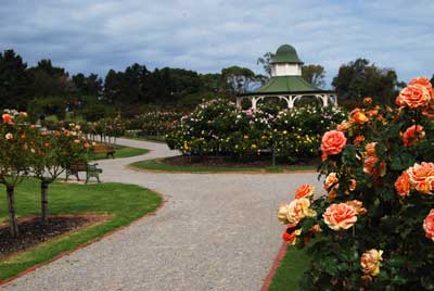 Victoria State Rose Garden