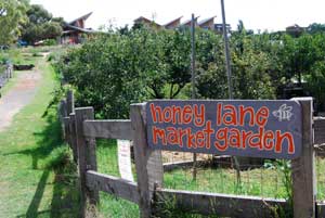 Honey Lane market garden